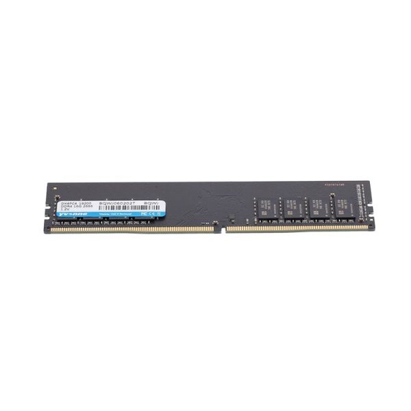 Pc5172 3.jpg