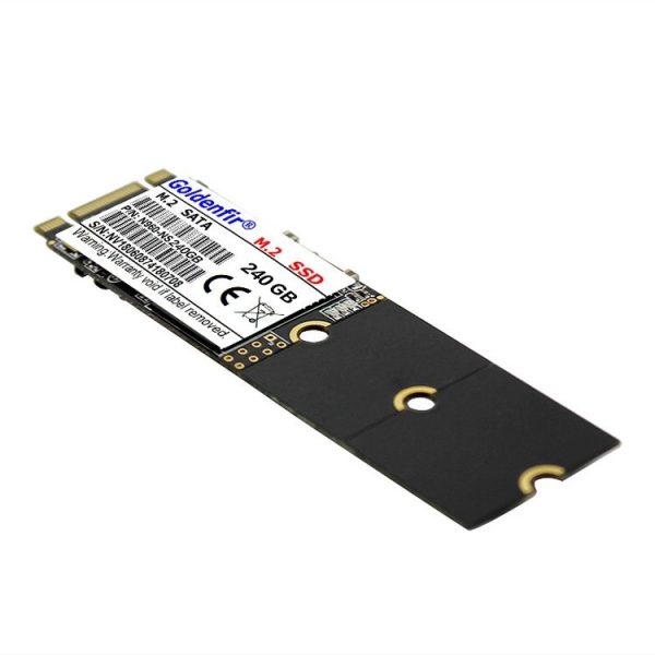 Pc8918 3.jpg
