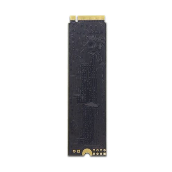 Pc9950 5.jpg