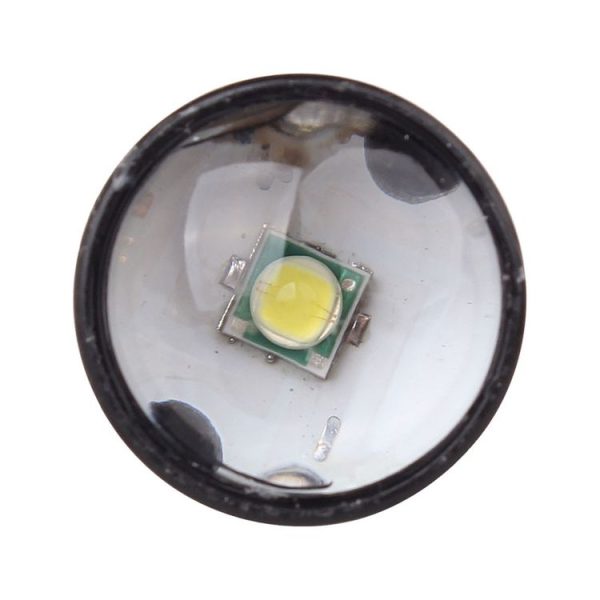 S Cms 0219 4.jpg