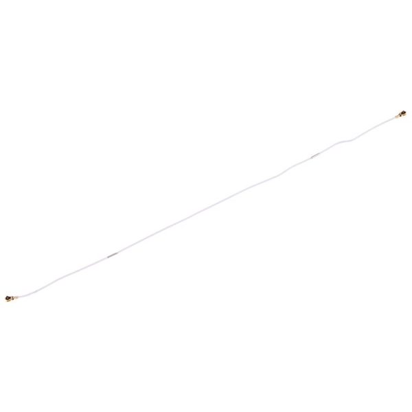 Sp2798 3.jpg