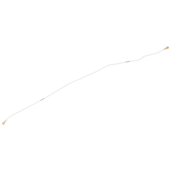 Sp2798 4.jpg