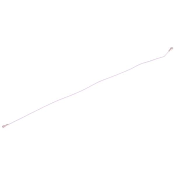 Sp2828 4.jpg