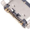 Sps4381 4.jpg