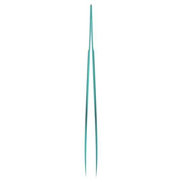 Spt0515 2.jpg