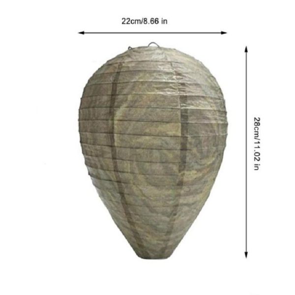 Tbd03939864 8.jpg