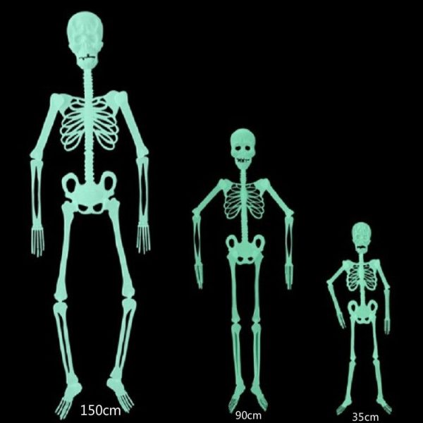 Tbd0416341002 5.jpg