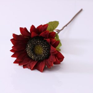 Tbd0426918501b 1.jpg
