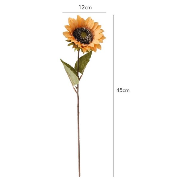 Tbd0426918501b 3.jpg