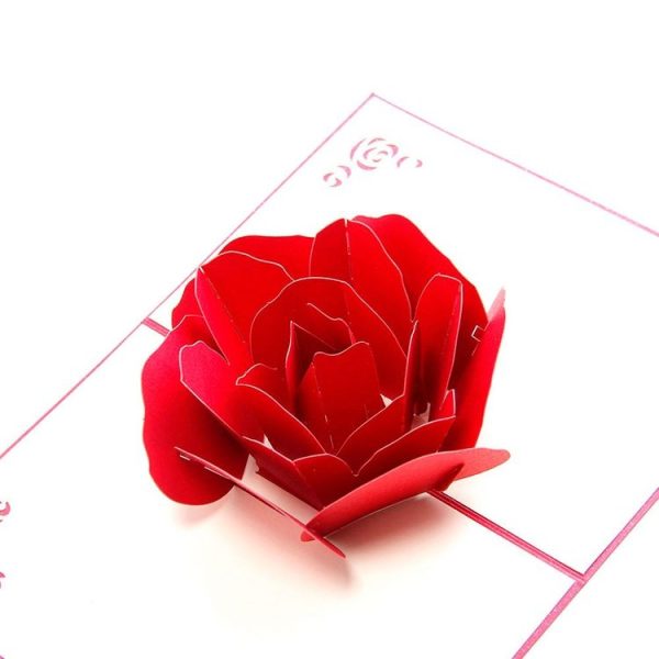 Tbd0482941 3.jpg
