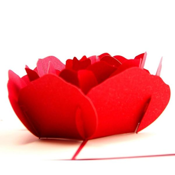 Tbd0482941 5.jpg