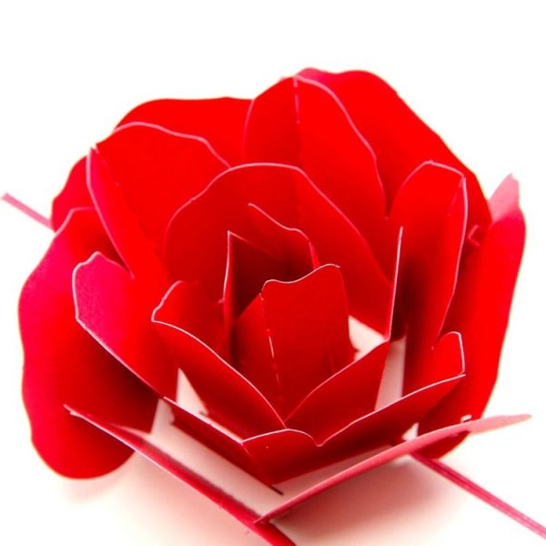Tbd0482941 6.jpg