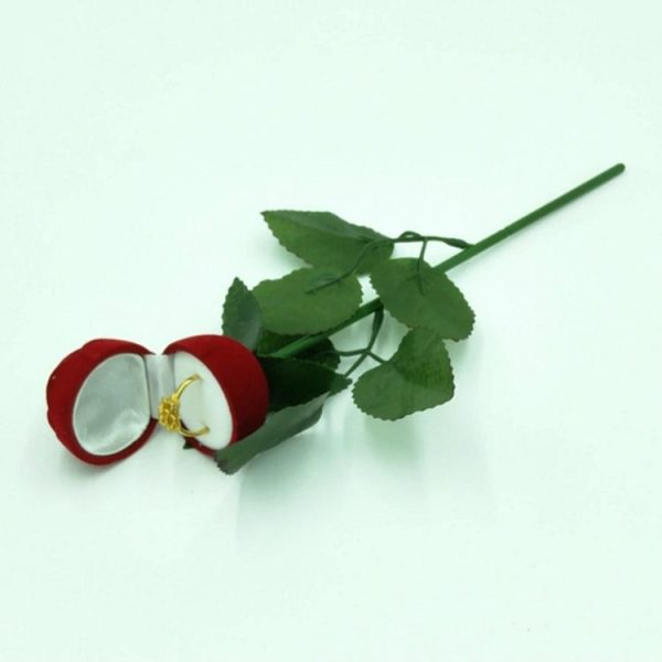 Tbd0521370 1.jpg
