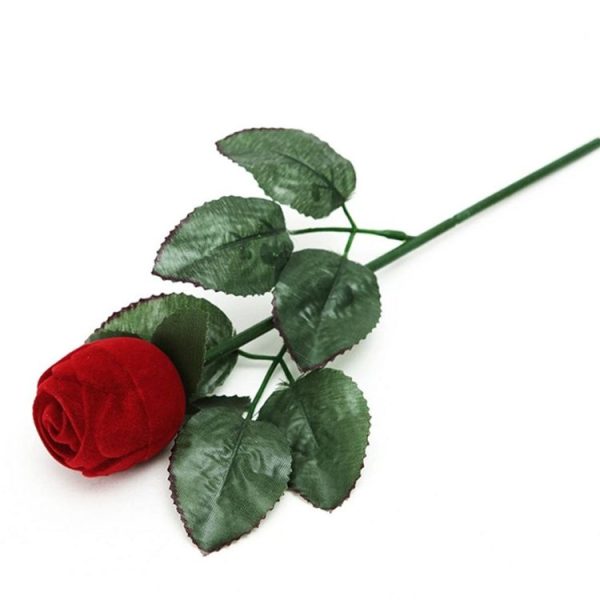 Tbd0521370 2.jpg