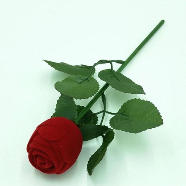 Tbd0521370 3.jpg