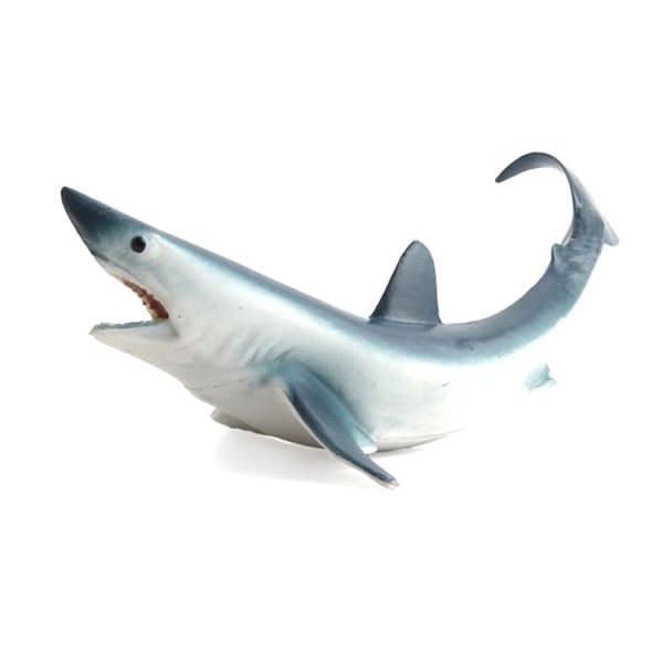 Tbd0550352904 1.jpg