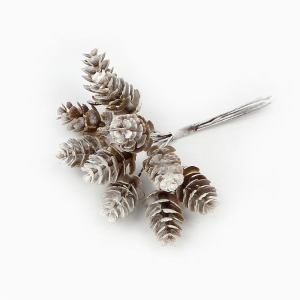Tbd0625022 5.jpg