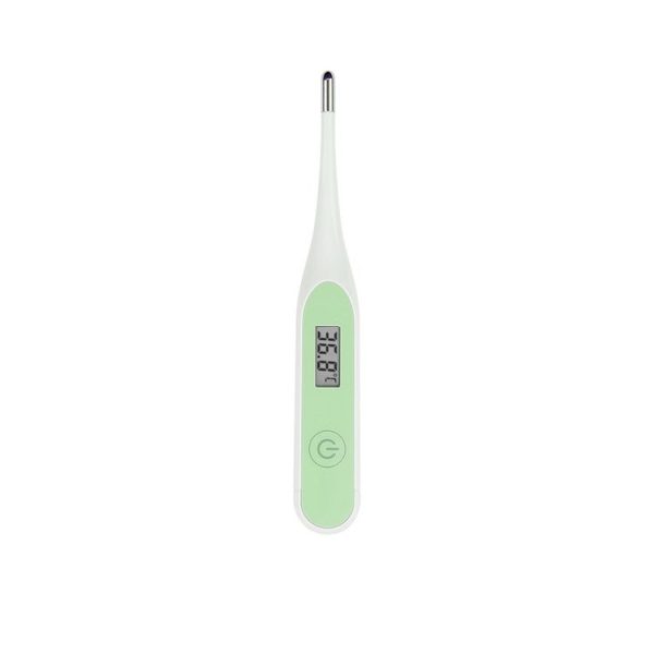 Tht0210g 2.jpg