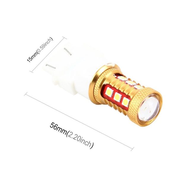 Cms0177 5.jpg