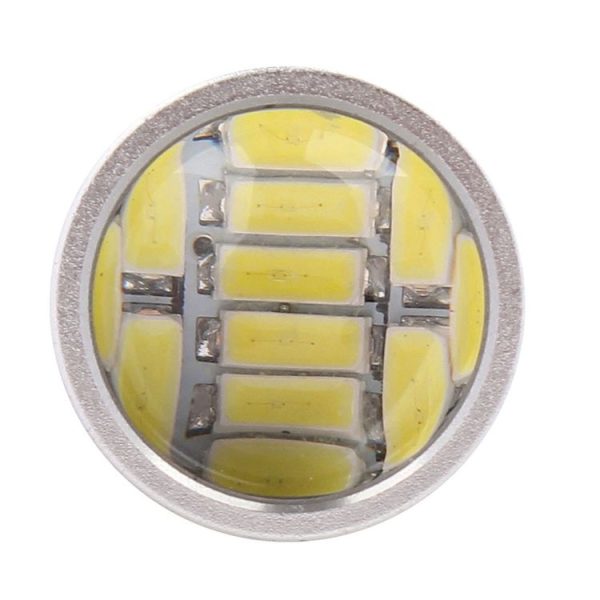 Cms0347 4.jpg