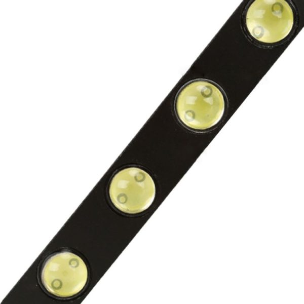 Cms0710 4.jpg
