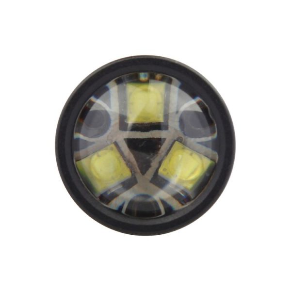 Cms1902wl 3.jpg
