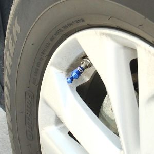 Cms2166l 1.jpg