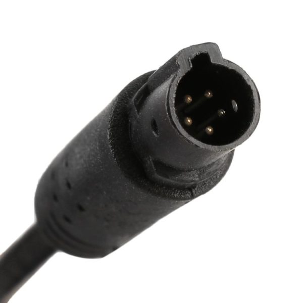 Cms31921 3.jpg