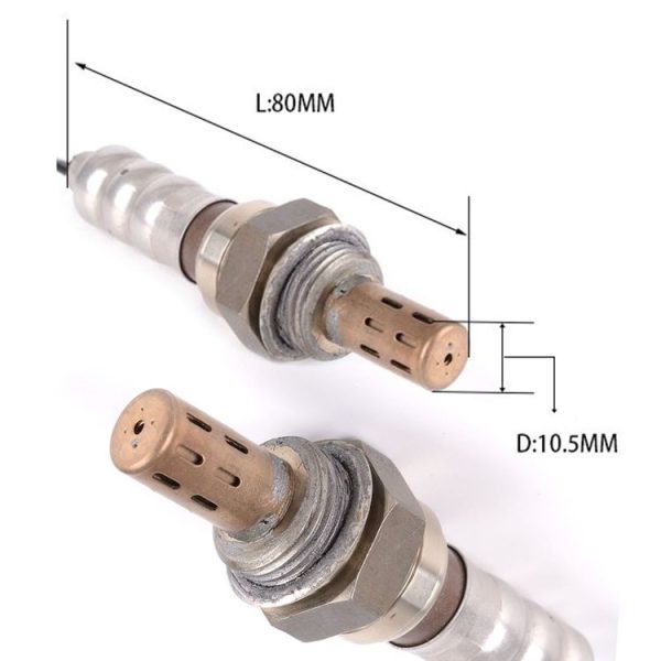 Cms6954 5.jpg