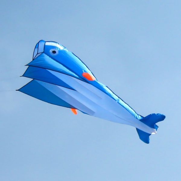 Eda001618901b 3.jpg