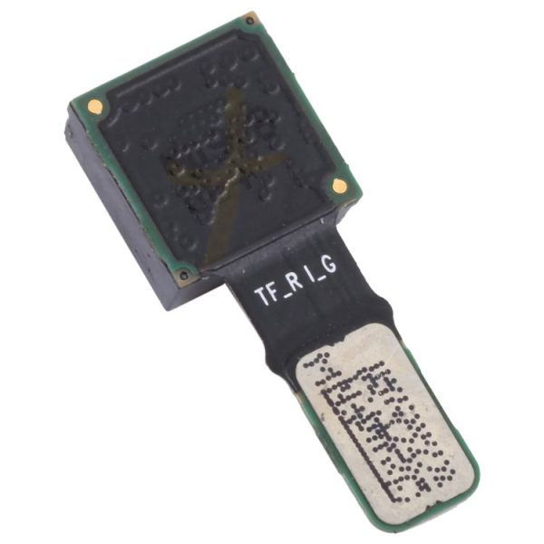 Eda003597302 3.jpg