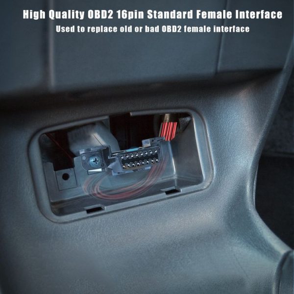 Eda003670804 5.jpg