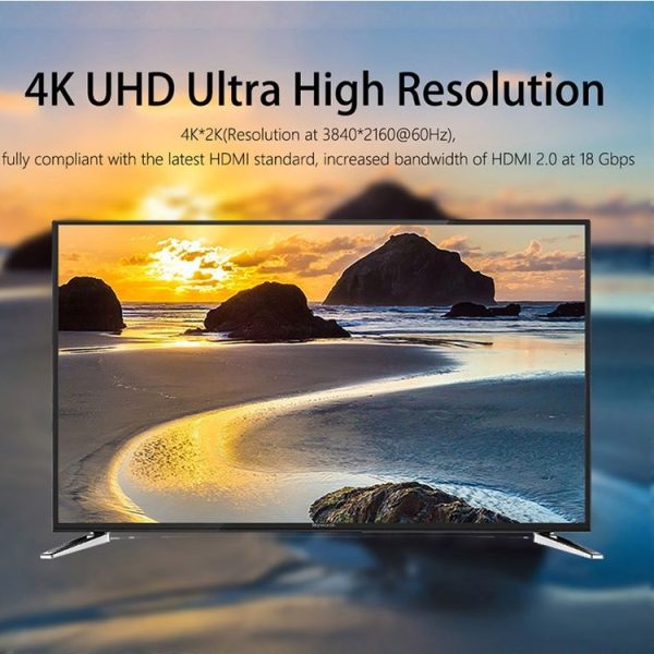 Hdmi0162 6.jpg