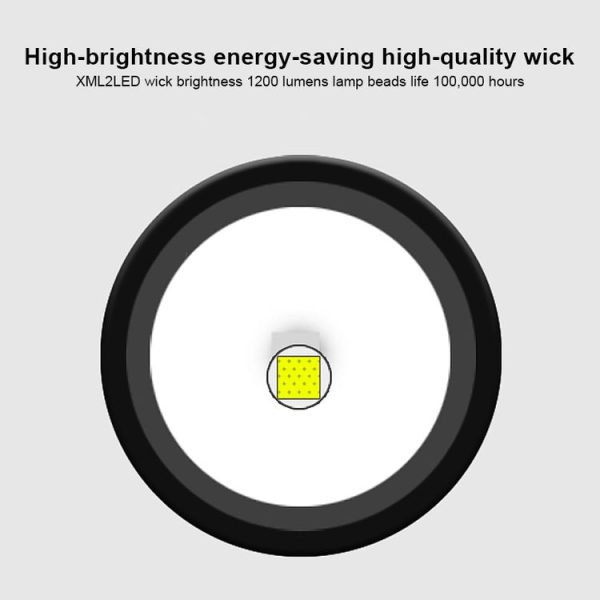 Led1014b 3.jpg