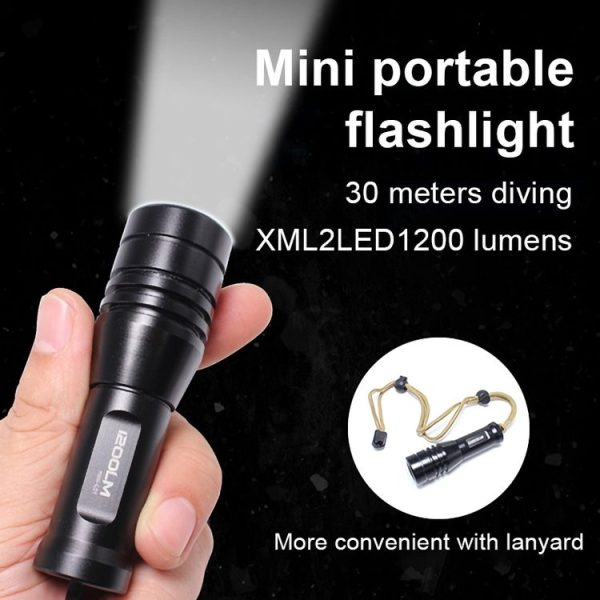 Led1014b 5.jpg