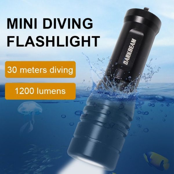 Led1014b 6.jpg