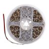 Led2555 2.jpg