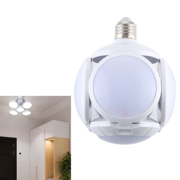 Led5805 1.jpg