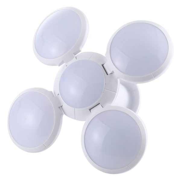 Led5805 4.jpg