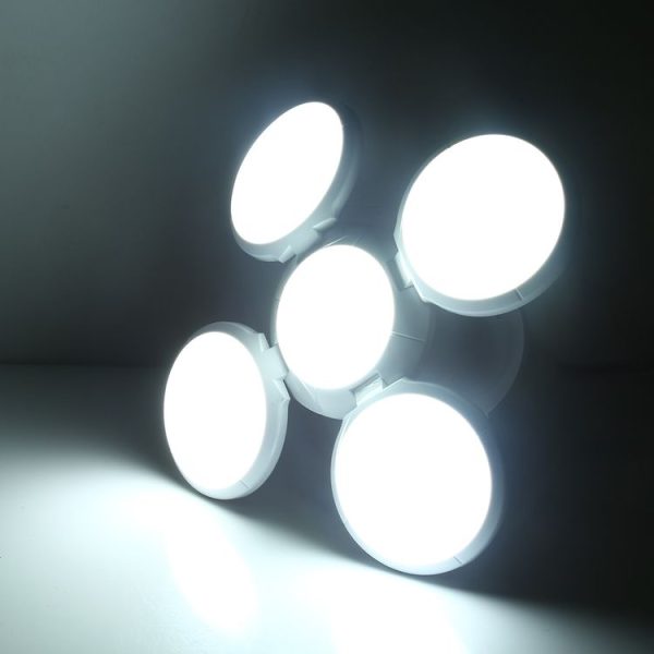 Led5805 7.jpg