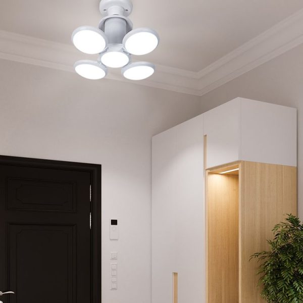 Led5805 8.jpg