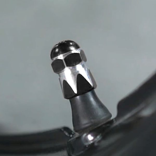 Mota1214b 7.jpg