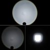 S Ca 8066 6.jpg