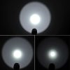 S Ca 8091 6.jpg