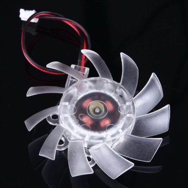 S Cf 0202 3.jpg
