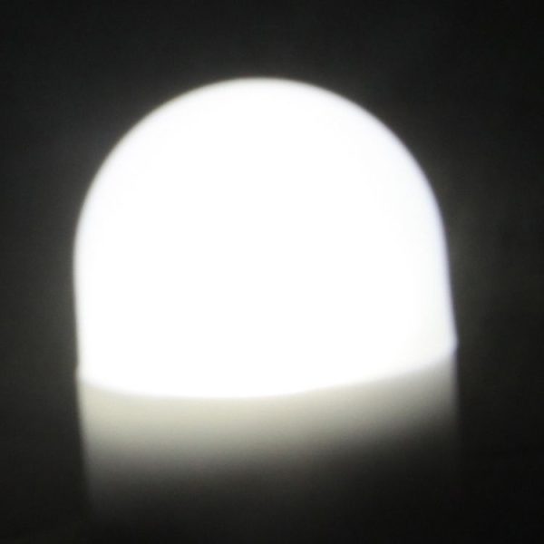 S Cms 0026w 5.jpg