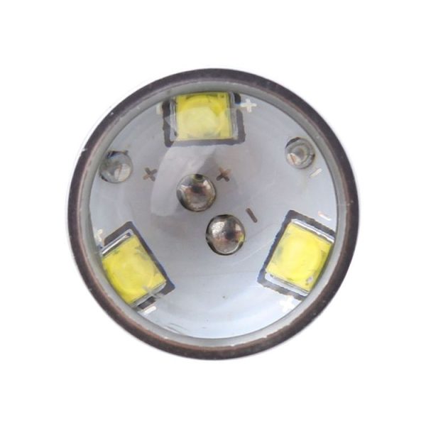 S Cms 0307 4.jpg
