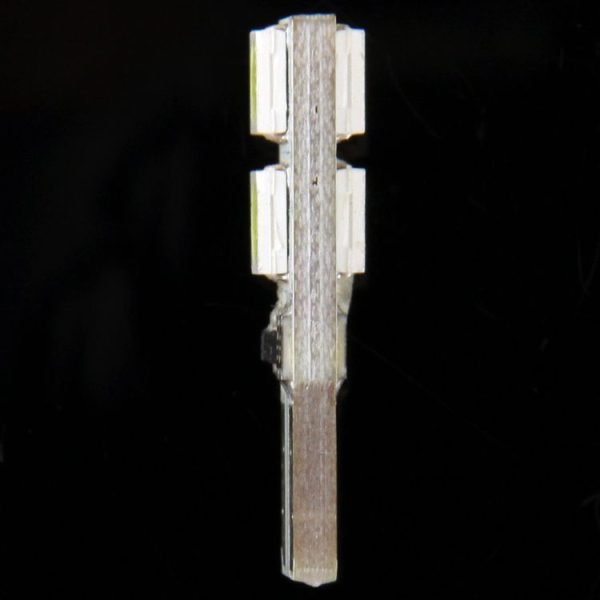 S Cms 0366w 4.jpg