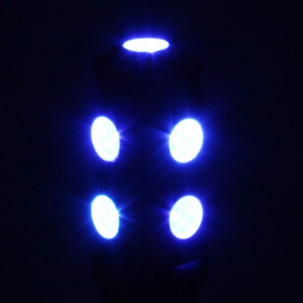 S Cms 0367be 5.jpg
