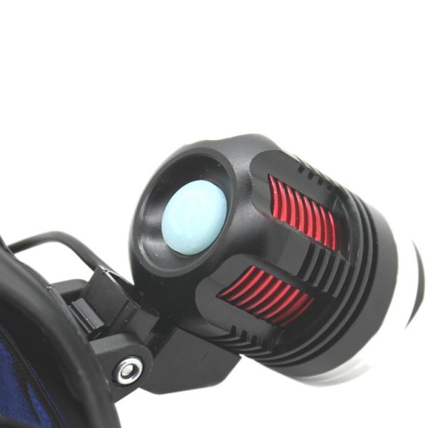 S Fled 0010 6.jpg